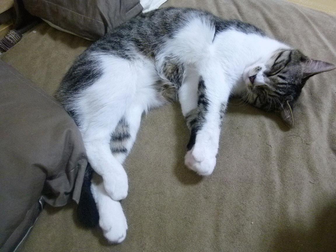 星空下的夜间徒步，感受黑暗中的运动魅力，夜晚徒步的说说